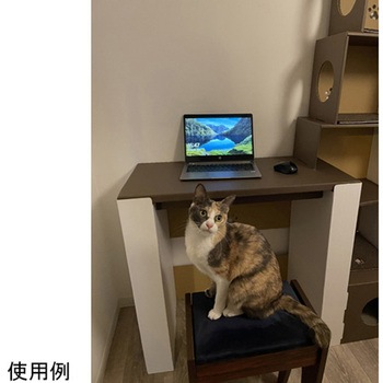 ネコ&テレワークデスク コイズミファニテック