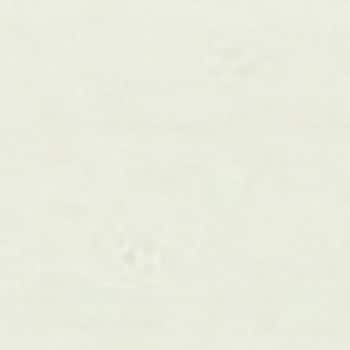 オーデフレッシュSi100Ⅲ ニッぺ(日本ペイント)