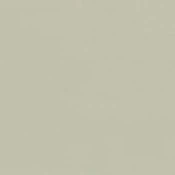 オーデフレッシュSi100Ⅲ ニッぺ(日本ペイント)