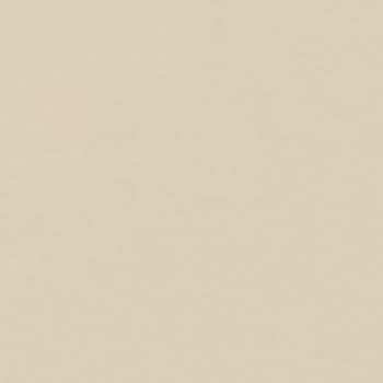 オーデフレッシュSi100Ⅲ ニッぺ(日本ペイント)