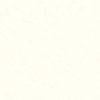 オーデフレッシュSi100Ⅲ ニッぺ(日本ペイント)