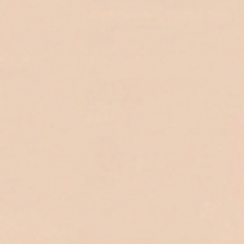 オーデフレッシュSi100Ⅲ ニッぺ(日本ペイント)