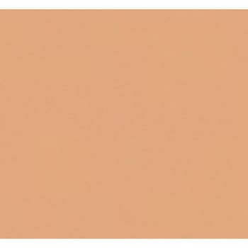 オーデフレッシュSi100Ⅲ ニッぺ(日本ペイント)