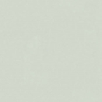 1液ファインシリコンセラUV ニッぺ(日本ペイント)