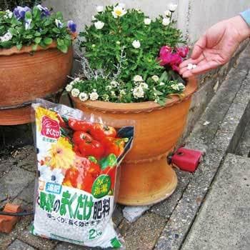 花と野菜のまくだけ肥料 自然応用科学 その他草花 鉢花用肥料 通販モノタロウ