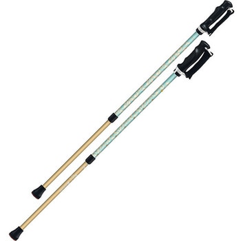 650214 �����ƈ��S2�{��(2�{1�g) �V�i�m �^�[�R�C�Y�F 69328790