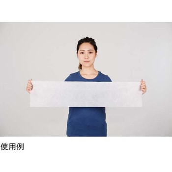 次世代ウェットタオル スーパーロング90 300袋入 エモーションプラネット