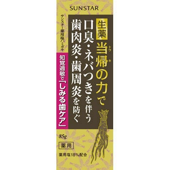 サンスター薬用塩ハミガキしみる歯ケア 1個(85g) サンスター 【通販