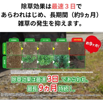 クサノンEX粒剤 住友化学園芸
