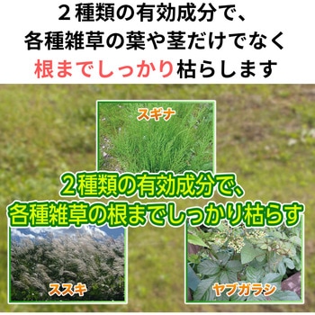 クサノンEX粒剤 住友化学園芸