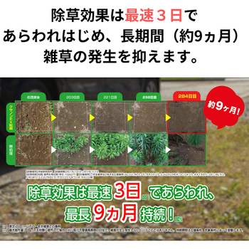 クサノンEX粒剤 住友化学園芸