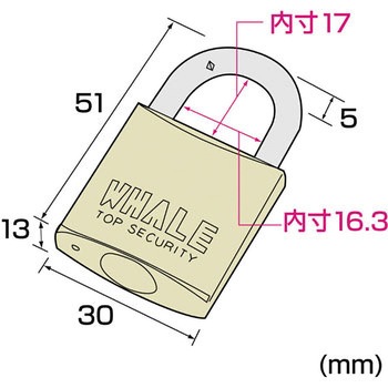 eセキュリティ(南京錠) サンワサプライ