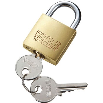 SLE-1L-8N e�Z�L�����e�B(�싞��) �T�����T�v���C 69374384