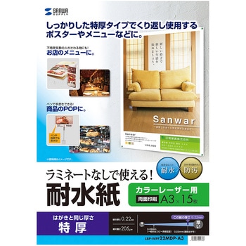 LBP-WPF22MDP-A3 �J���[���[�U�[�p�ϐ��� �T�����T�v���C 69375942