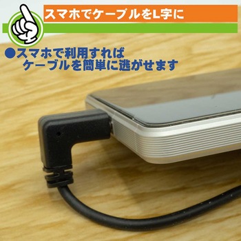 Type-Cケーブル エスエスエーサービス