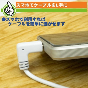Type-Cケーブル エスエスエーサービス