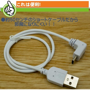 Type-Cケーブル エスエスエーサービス