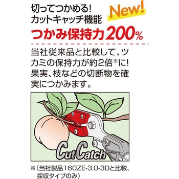 ズームチョキエコノ 採集型 アルス