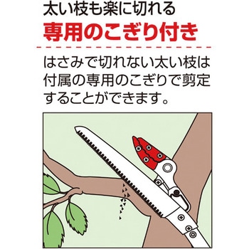 ズームチョキエコノ 刈込型 アルス
