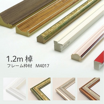 額縁 枠のみ 棹状 M4017 万丈