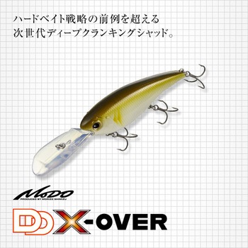 DDエックスオーバー EverGreen INTERNATIONAL