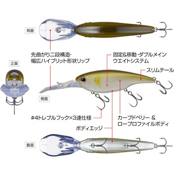 DDエックスオーバー EverGreen INTERNATIONAL