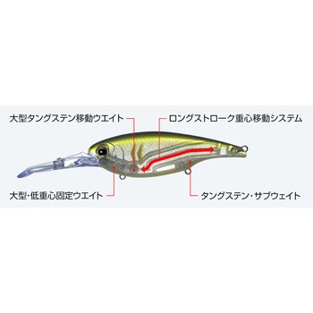 DDエックスオーバー EverGreen INTERNATIONAL