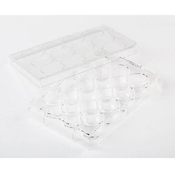 Fisherbrand 細胞培養マルチディッシュ FBシリーズ Thermo Fisher Scientific