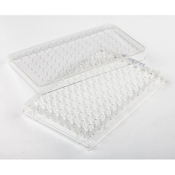 Fisherbrand 細胞培養マルチディッシュ FBシリーズ Thermo Fisher Scientific