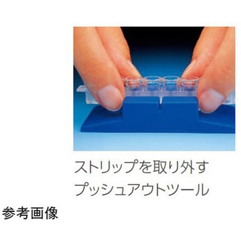 イムノブレイクアパートモジュールプレート Thermo Scientific Nalgene