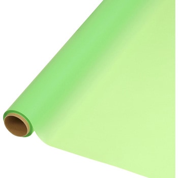 006778227 �t�����[���b�s���O���[�� �m�[�u�� HEIKO �E�O�C�X�F  1�{ 69440939