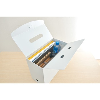 ボックスファイル テレネ LION (ライオン事務器)