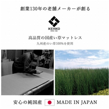 マットレス 三つ折り カビ防止 置き畳 軽量 こたつ敷 フロアマット イケヒコ・コーポレーション