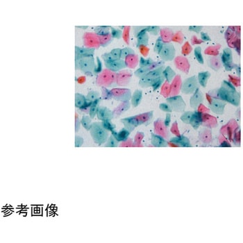 サイトキャッチスライド 20F 100枚入 武藤化学