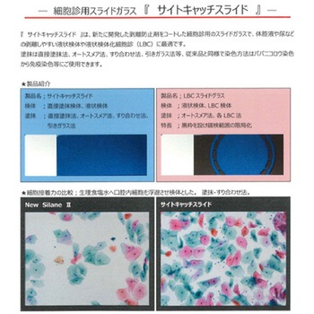 サイトキャッチスライド 20F 100枚入 武藤化学