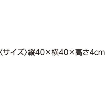 もちとろん シートクッション 40×40×4cm 98124シリーズ ケアファッション