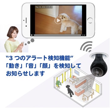 PIC-360 プラグインカム 360度自動追尾カメラ PlugInCam ROBOT