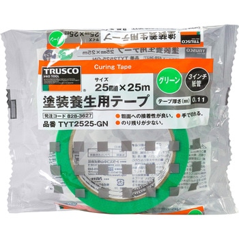 「塗装」ポヨン太 DAYTONA675R/パートラッピング - ガレージシャンティ（GARAGE