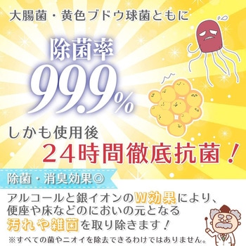 激落ちくん超厚流せるトイレクリーナー大判 LEC(レック)