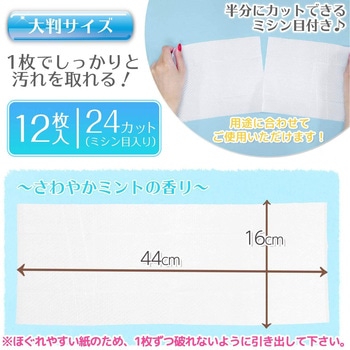 激落ちくん超厚流せるトイレクリーナー大判 LEC(レック)