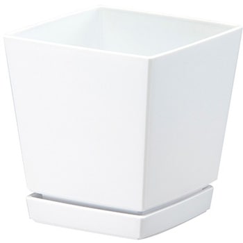 - �N�G���`���[�|�b�g(�v���[�g�t) ��a�v���X�`�b�N 69553068