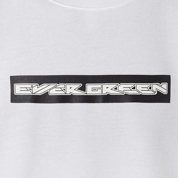 E.G.ドライトレーナー タイプ1 LLサイズ EverGreen INTERNATIONAL
