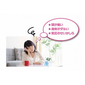 カスタム気圧計 BMシリーズ エンペックス気象計