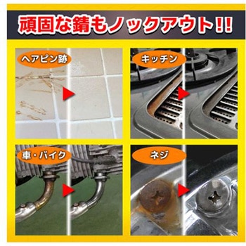 100g 錆取り ミスト エスコ