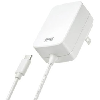 AC100-240V AC充電器 USB PD対応/Type-C エスコ