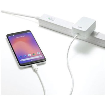 AC100-240V AC充電器 USB PD対応/Type-C エスコ