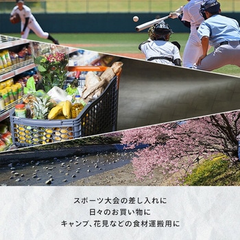 2Lペットボトルが立てて8本入る クーラーバッグ 最強 保温 保冷 大容量 35L YAMAZEN(山善)