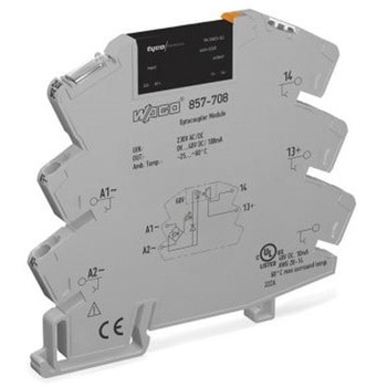 ソリッドステートリレー 最大負荷電流：0.1 A 最大負荷電圧：48 V dc DINレール ワゴジャパン