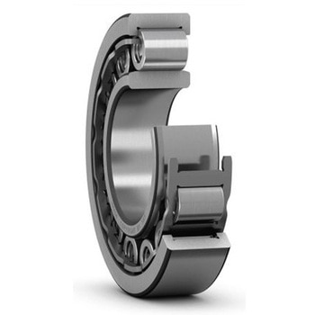 ローラーベアリング 内径110mm レース幅50mm SKF