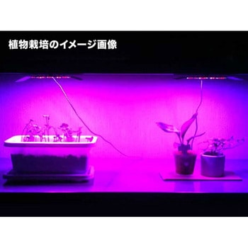 植物栽培用LED 5Φ 赤外線 3個入 アズワン